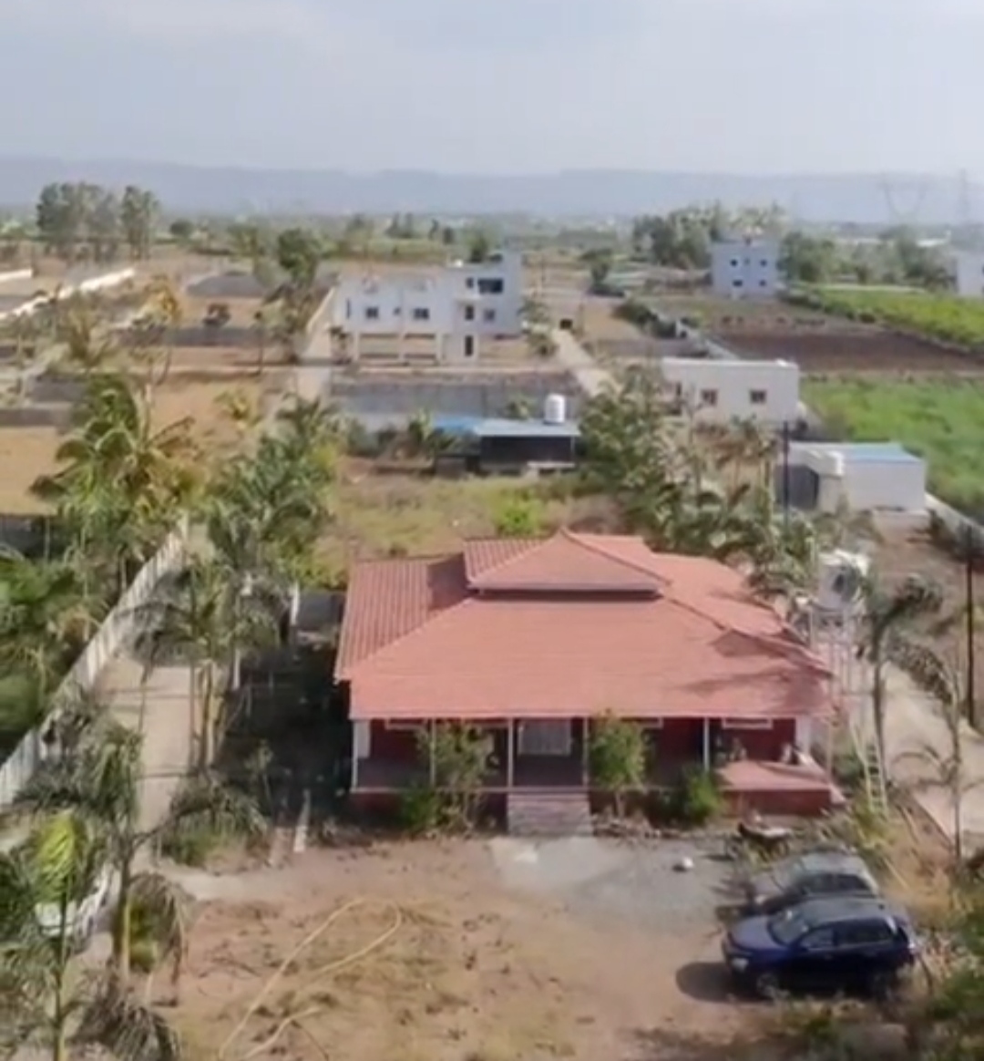 Plot Image 1