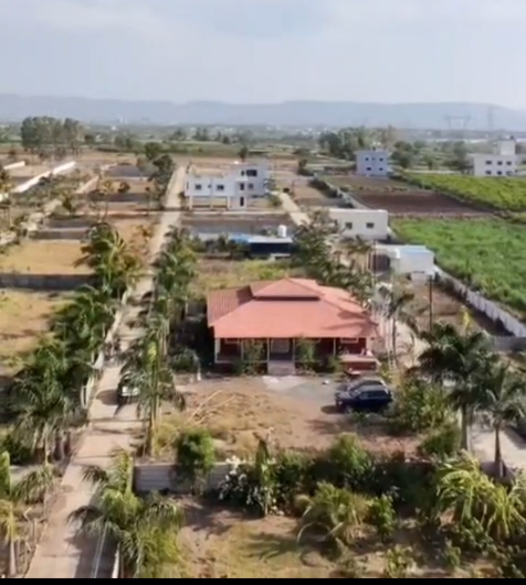 Plot Image 1