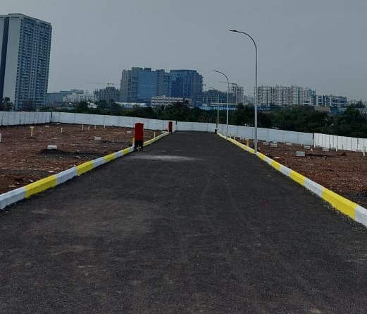 Plot Image 1